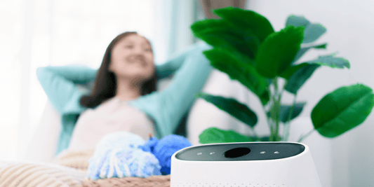 Breathe Easy: Discovering Air Purifier Benefits for Your Health